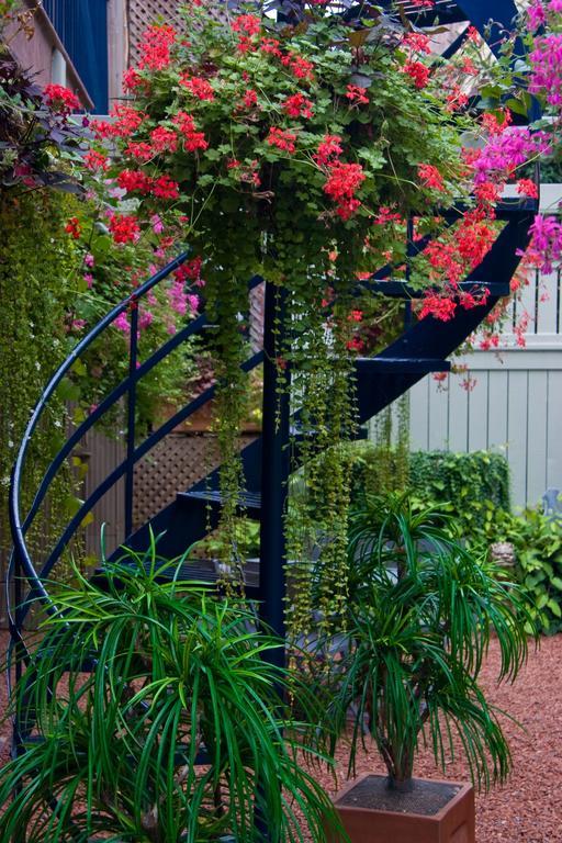 Le Cartier Bed And Breakfast Montreal Bagian luar foto